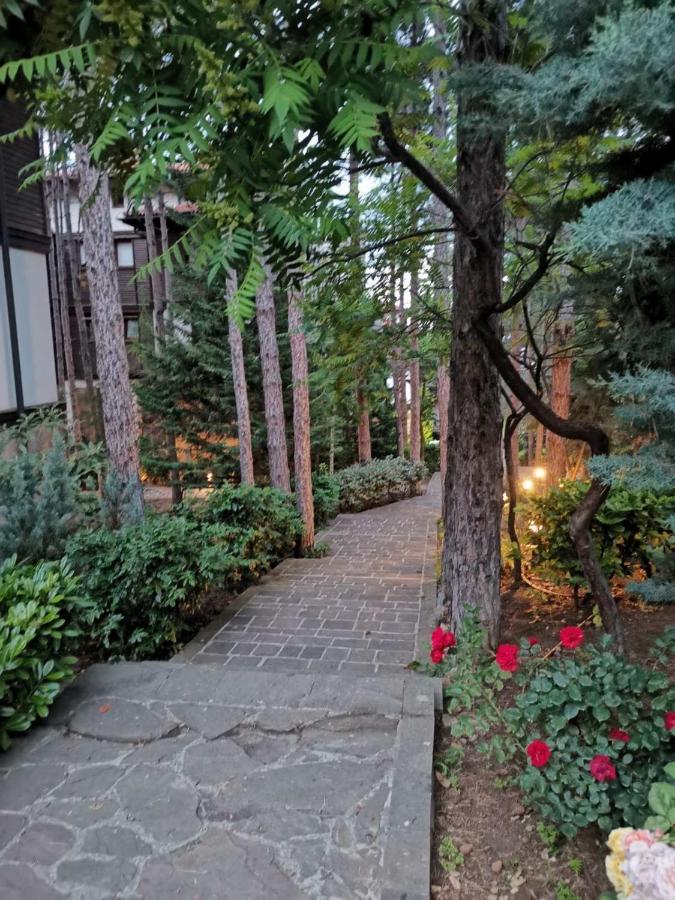 Quiet Apartment With Big Terrace In Santa Marina With Parking Sozopol Zewnętrze zdjęcie