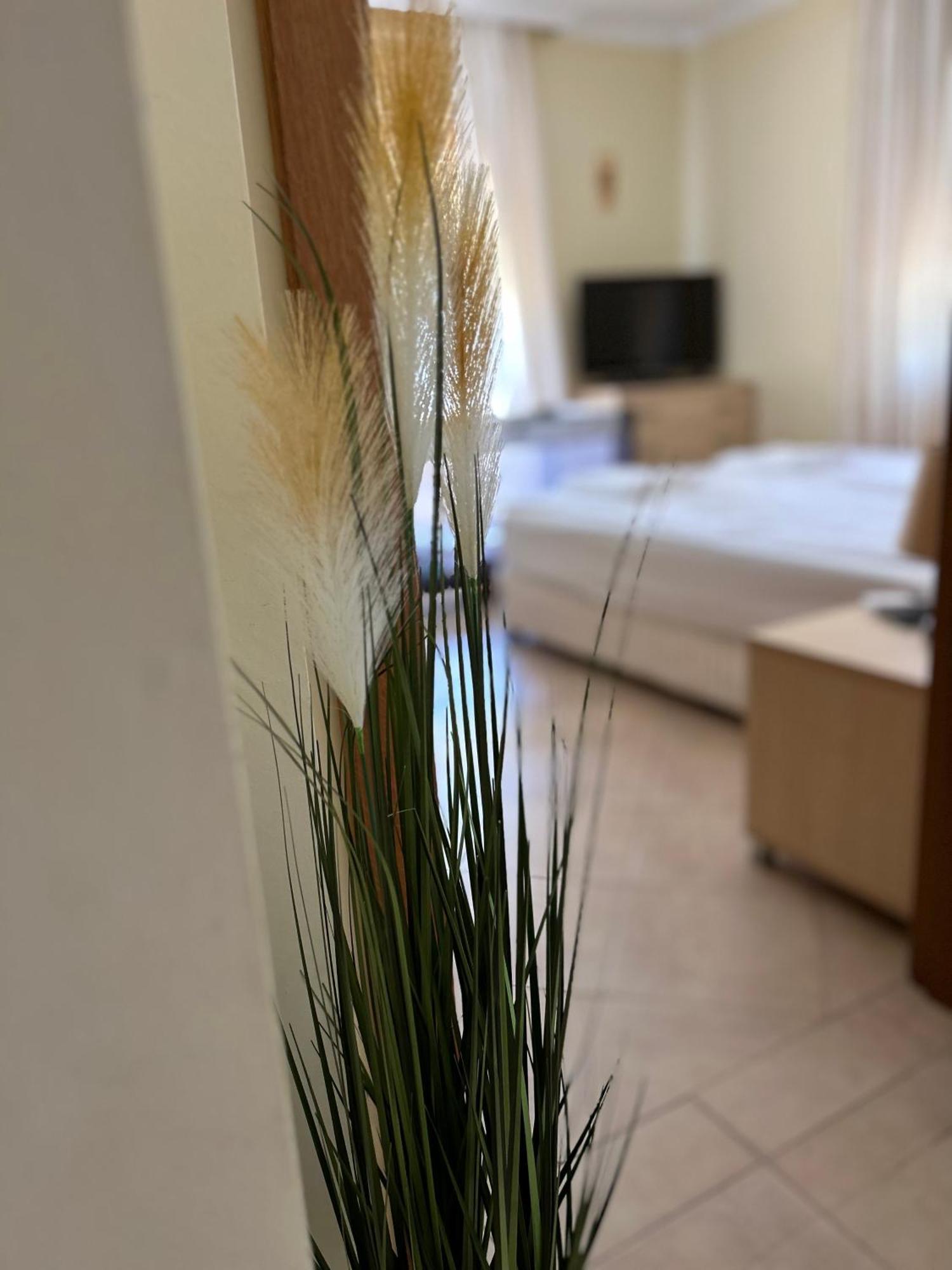 Quiet Apartment With Big Terrace In Santa Marina With Parking Sozopol Zewnętrze zdjęcie
